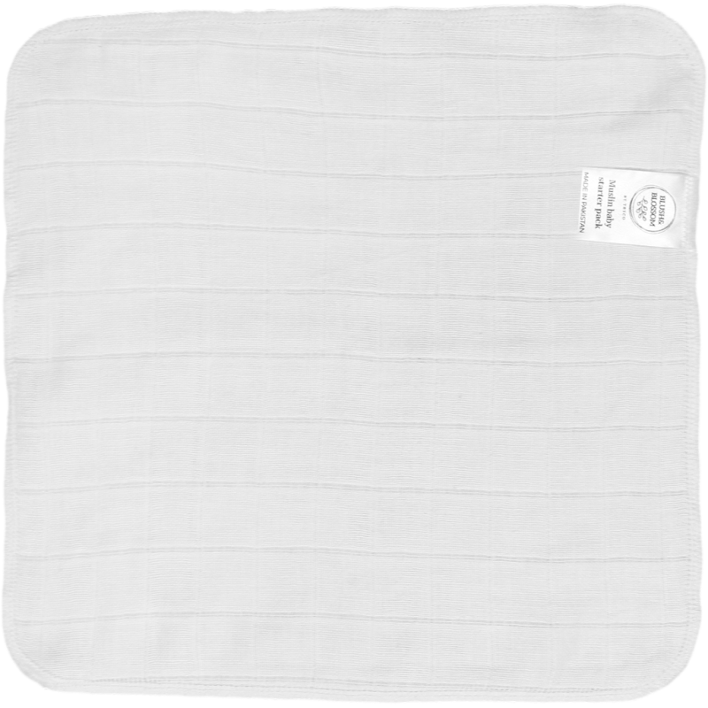 copy of 